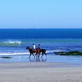 plage - Ile de Ré