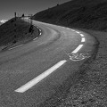 Love Tom - Mont Ventoux 2017