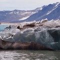 Iceberg