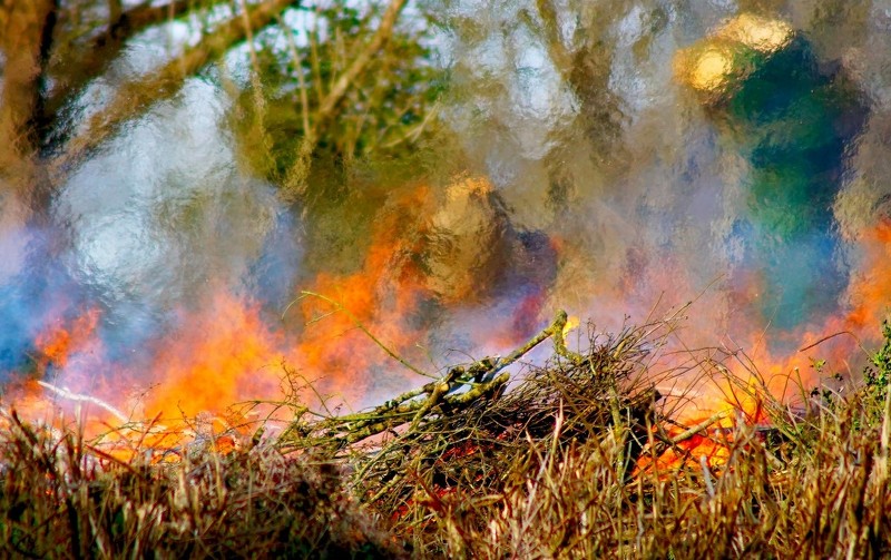 le feu ardent.jpg