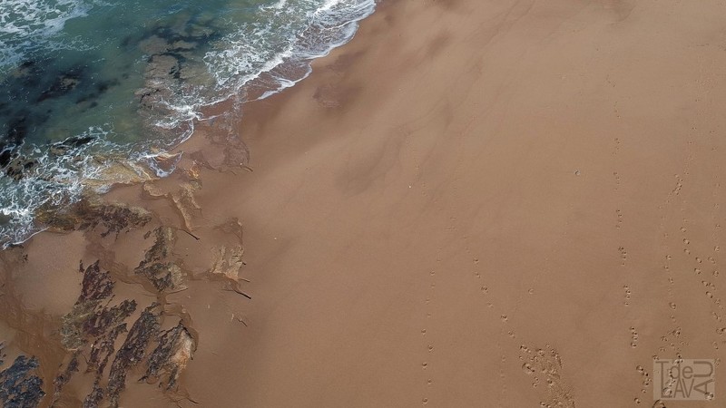 La Sausaie à Brétignolles sur Mer (Vendée) - Altitude 15,60 m Les empreintes sur le sable.jpg