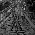 IMG_lignes de chemin de fer Noisy.Noir et blancjpg.jpg