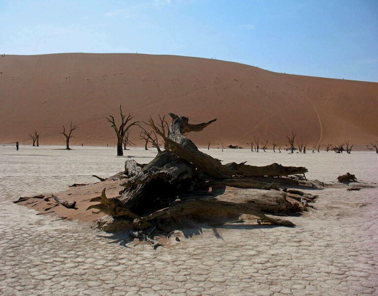 Lac asséché Namibie.JPG